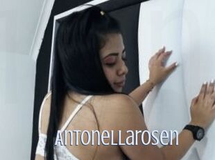 Antonellarosen