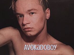 AvokadoBoy