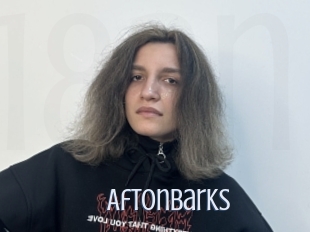 Aftonbarks