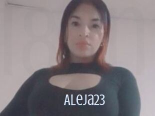 Aleja23