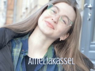 Ameliakassel