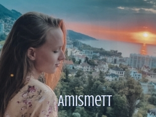 Amismett