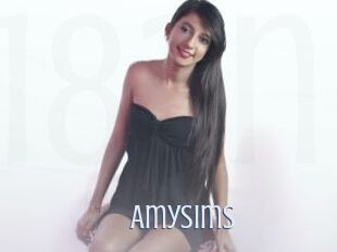 Amysims