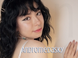 Andromedasky