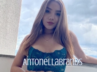 Antonellabrands
