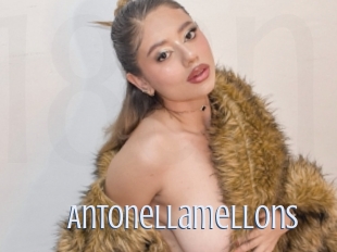 Antonellamellons