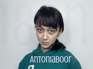 Antoniaboor