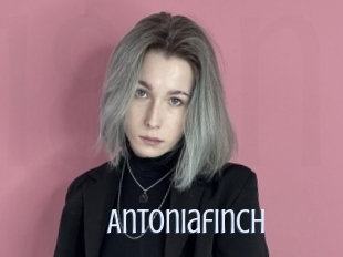 Antoniafinch