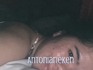 Antoniarieken