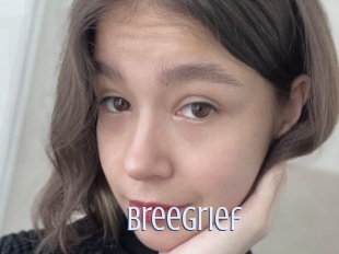 Breegrief