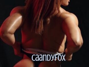 CaandyFox