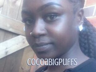 Cocoabigpuffs