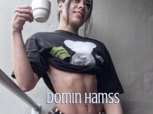 Domin_hamss
