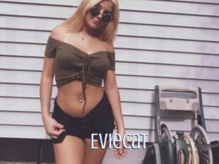 EvieCat