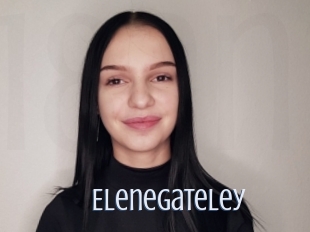 Elenegateley