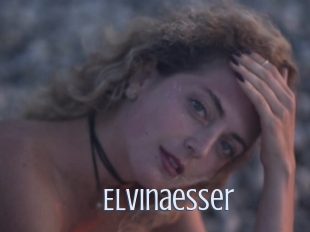 Elvinaesser