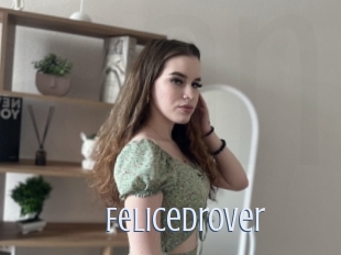 Felicedrover