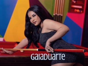 Gaiaduarte