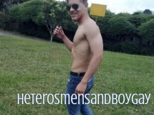 Heterosmensandboygay