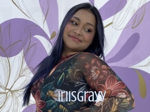 Iriisgrayy