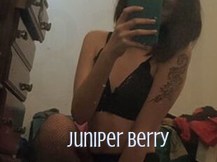 Juniper_Berry