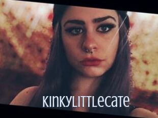 Kinkylittlecate