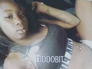 LiddoBit