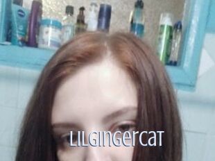 LilGingerCat