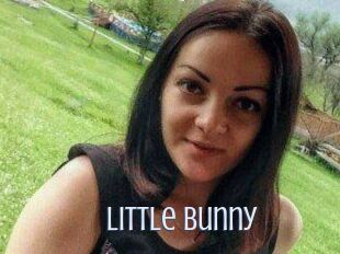 Little_Bunny_