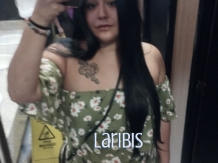 Laribis