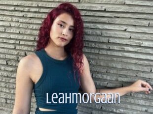 Leahmorgaan