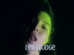 Leilabodge