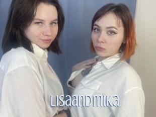Lisaandmika