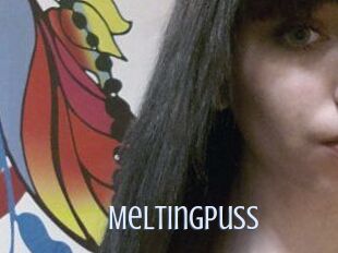MeltingPuss