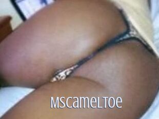 MsCamelToe