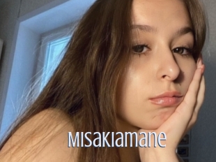 Misakiamane