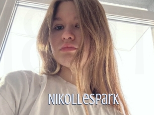 Nikollespark