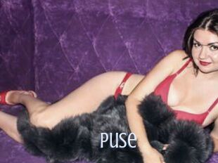 Puse