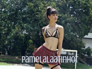 Pamelalaatinhot