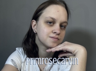 Primrosecarvin