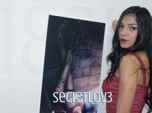 Secr3tLov3