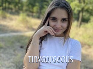 TinyGorgeous