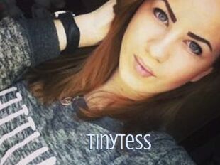 TinyTess