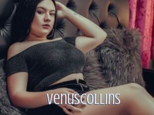 VenusCollins