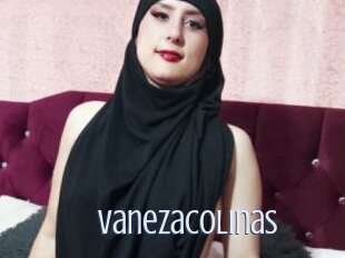 Vanezacolinas