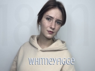Whitneyfigge