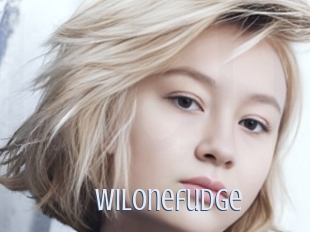 Wilonefudge