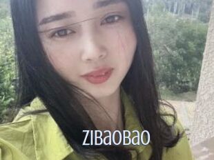 ZIbaobao